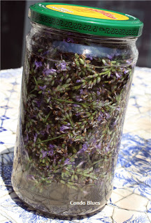 18-como-hacer-aceite-esencial-de-lavanda-01