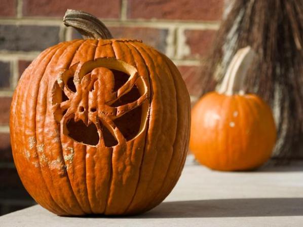 Ideas para decorar calabazas de halloween 5