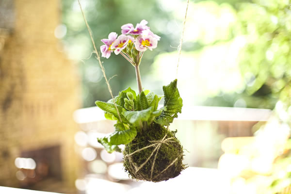 Aprende a hacer un kokedama