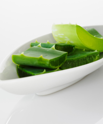 Usos del aloe vera para el cabello 1